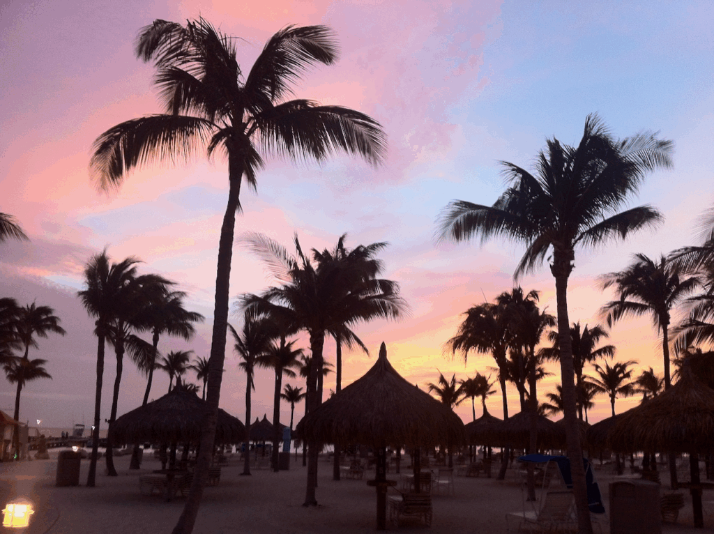 Pink, yellow, purple, and blue sunset in the background with palm trees and thatched roof palapas over sun beds on the beach in Aruba.