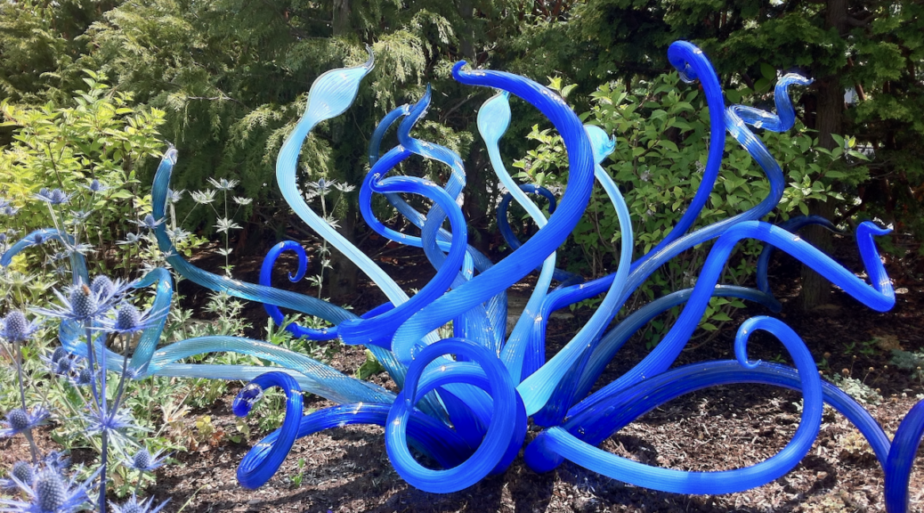 Dark and light blue Chihuly glass sculpture with curved octopus-like tentacles planted in a garden next to blue thistles in the Seattle Chihuly Garden.